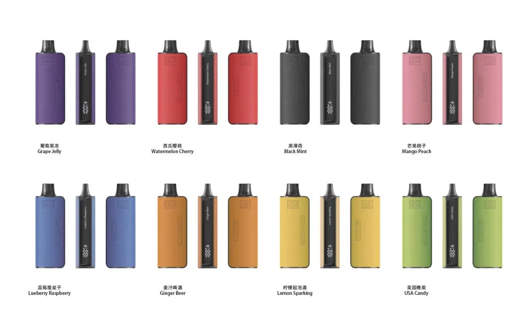 Wholesale LED Screen 8000 Puffs Electronic Cigarette 2% Nicotine Rechargeable Disposable Vape