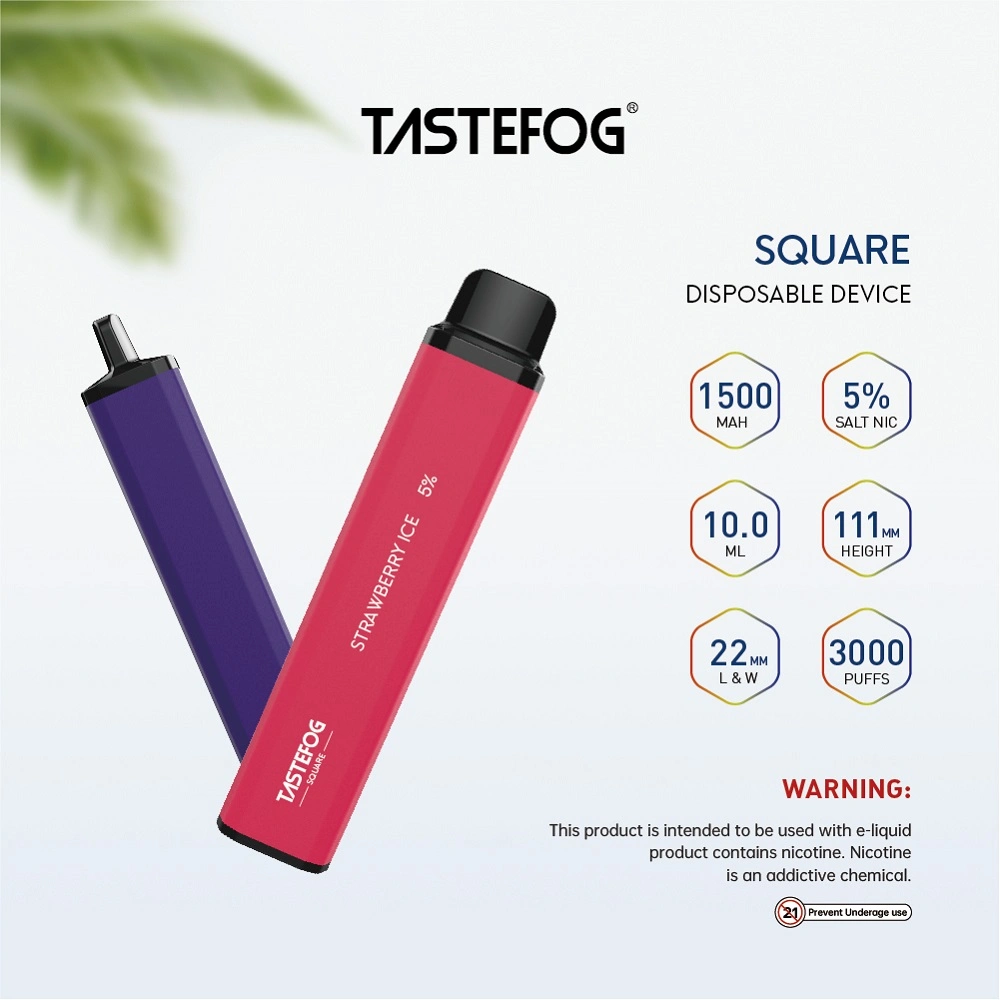 Vapes Brand Tastefog Disposable Vaporizer 10ml E Liquid 5% Nicotine 10 Mix Flavors