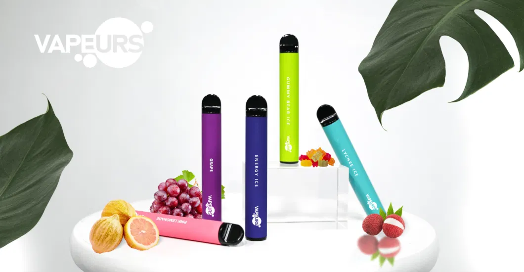 Tobacco Lisence 24 Fruit Flavors Disposable Vape Vapeurs 600 Puffs +2ml Prefilled Custom Vaporizer Pen