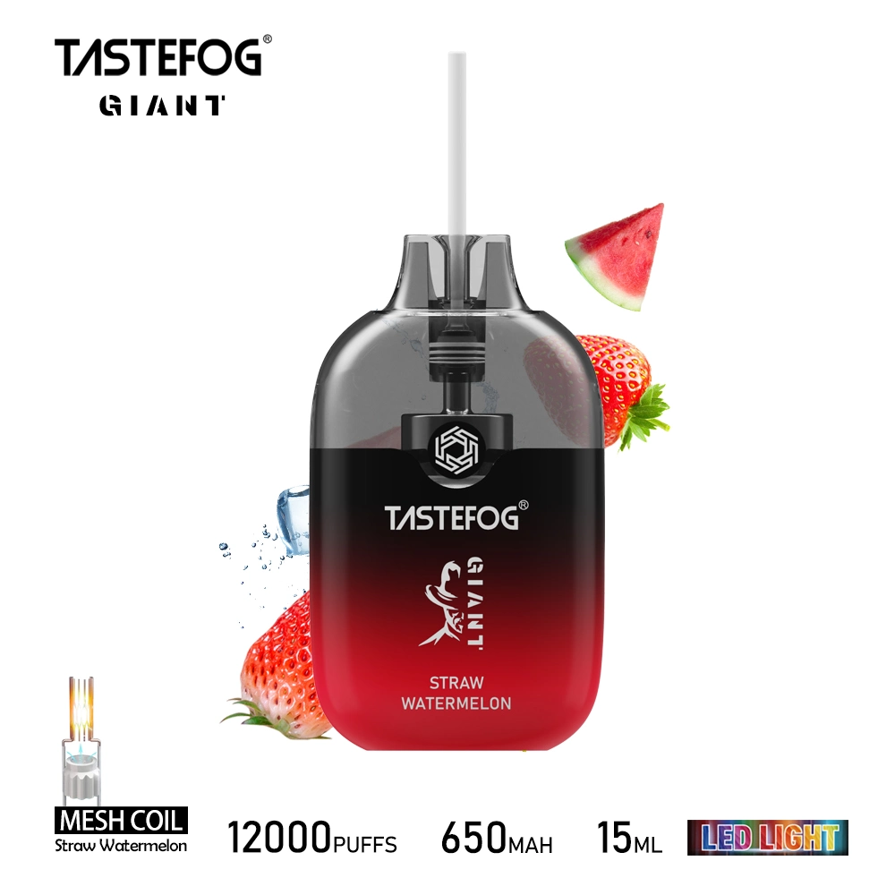 Tastefog E Cigarette 12000 Puffs Disposable Puff Vape Giant Vaporizer Wholesale