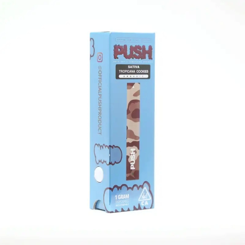 Push Disposable Vape 1.0ml Different Color Pod Cartridge Packaging 510 Battery Cigarette Electronic Empty Vaporizer Device