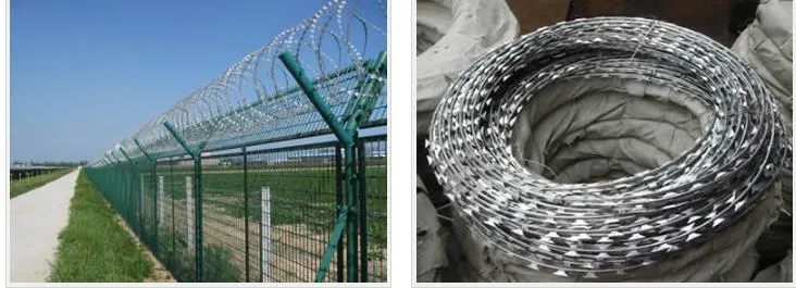Yaqi Hot DIP Galvanized Concertina Razor Barbed Wire 450mm Coil China Supplier