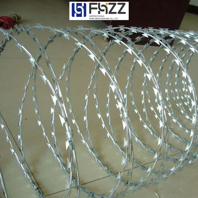 Stainless Steel or Galvanized Razor Barbed Concertina Wire and Concertina Coil