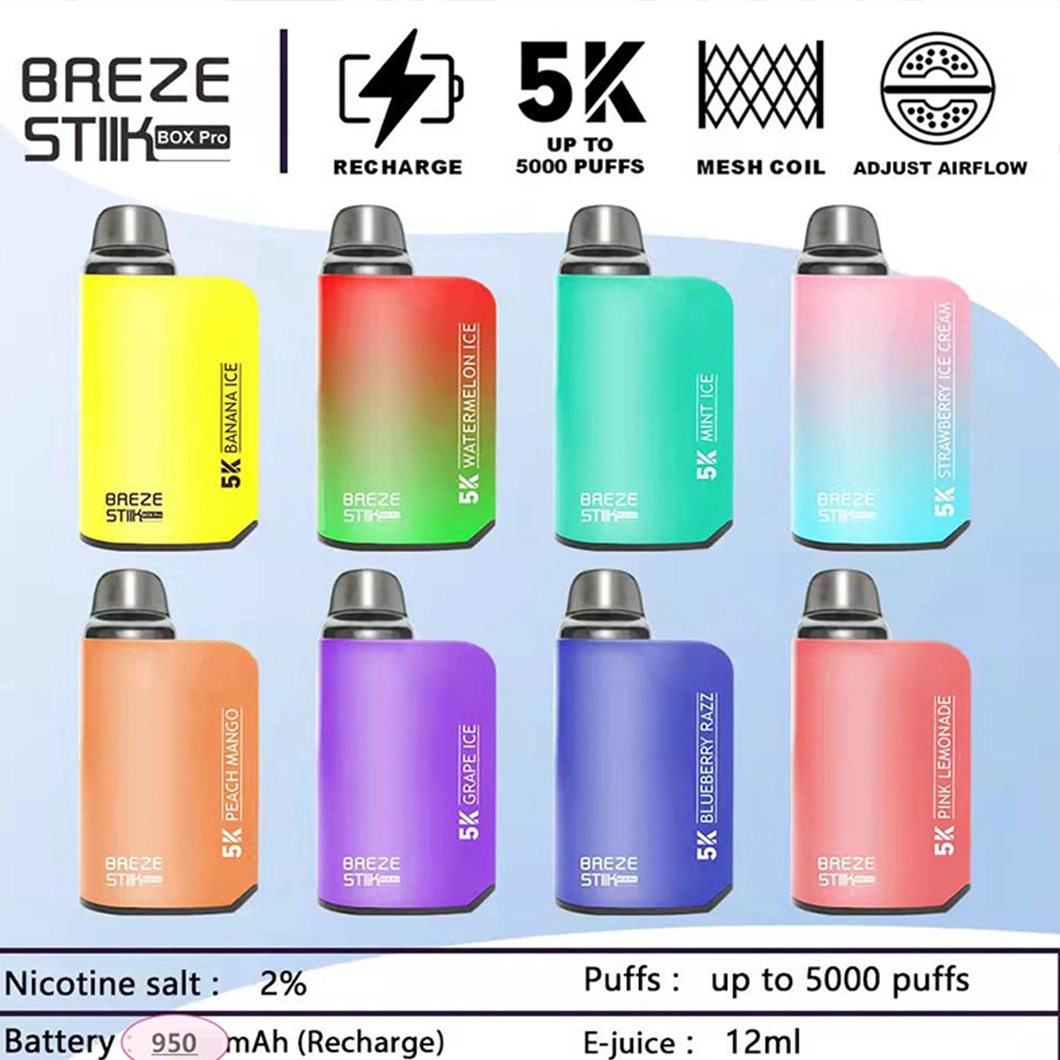 Best Price of 5% Nicotine 5000 Puffs Wholesale Disposable Vape Vaporizer Manufacturer