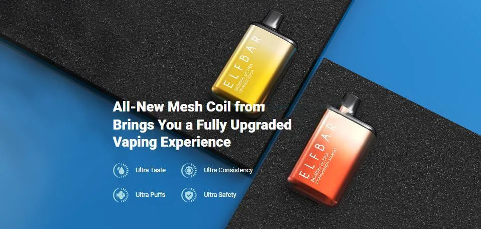 Amazing Taste Disposal Vape 650mAh Disposable Vape Ultra Bc 5000 Rechargeable Vape with Mesh Coil