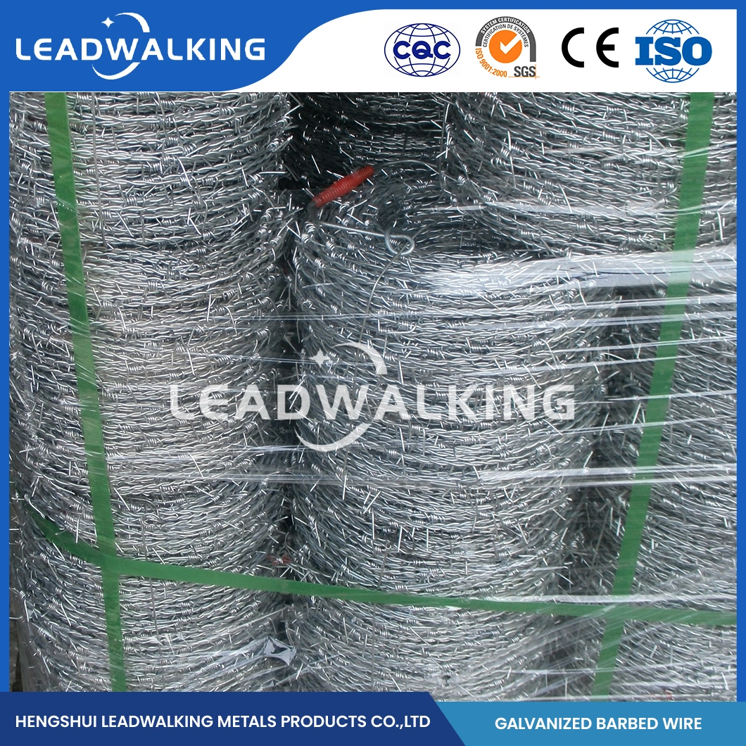 Leadwalking Steel Barbed Wire Fence Wire Manufacturers Sample Available Twist Barbed Wire China Beautiful Galvanized Barbed Wire Coil