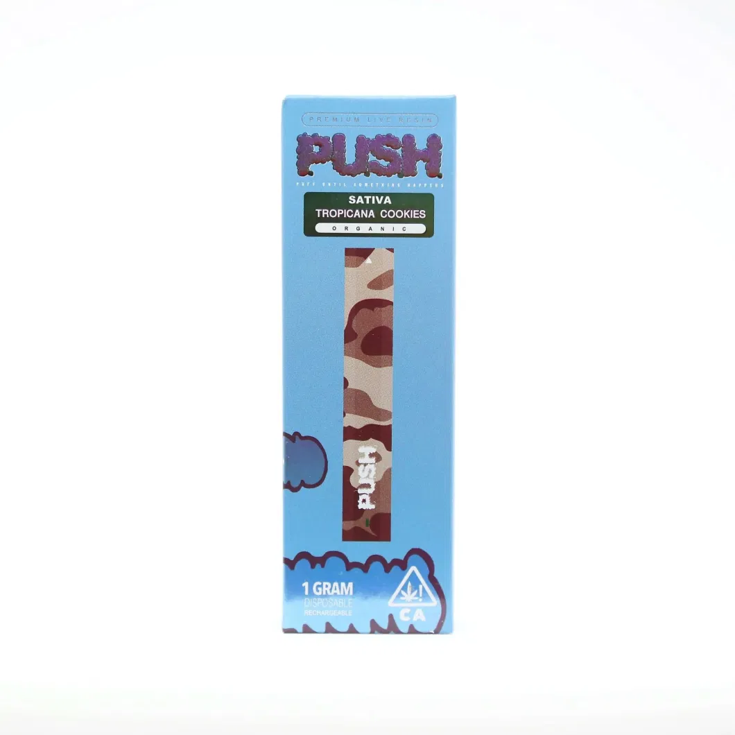 Push Disposable Vape 1.0ml Different Color Pod Cartridge Packaging 510 Battery Cigarette Electronic Empty Vaporizer Device