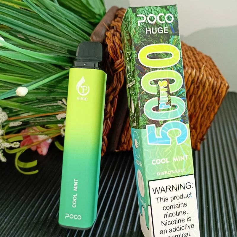 Mesh Coil Poco Huge Disposable Vape Rubber Paint Vape Pen 8 Flavors 5000puffs Wholesale Vape with USA Warehoues Rechargeable