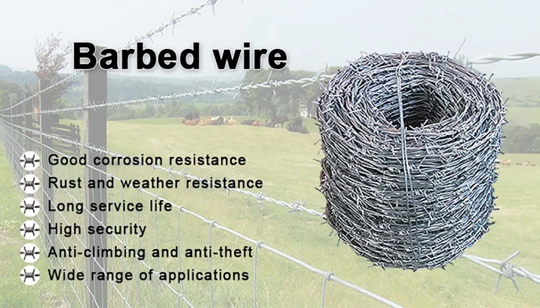 High Quality Helical Barb Wire Price Per Roll Low Price Barbed Wire Coil