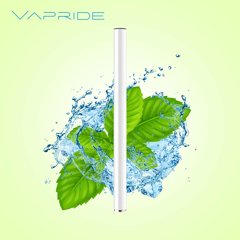 Hot Selling Mint Flavors 500 Puffs Disposable Electronic Cigarette Custom Vape