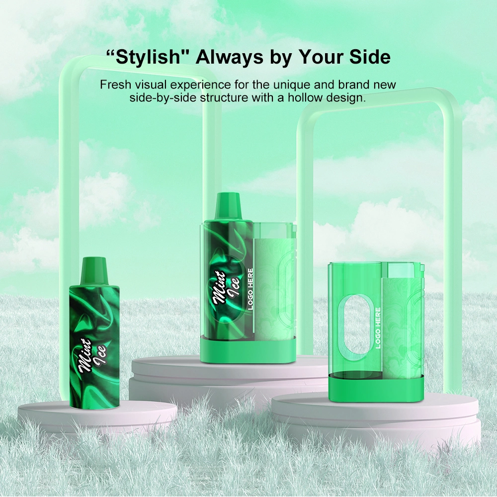 Wholesale Disposable Vape Pen Mods Disposable E Cigarette 5000 Puff E Liquid Lost Vaporizer Cigarette Mary Rechargeable Replace Pod Smoke Vape Factory