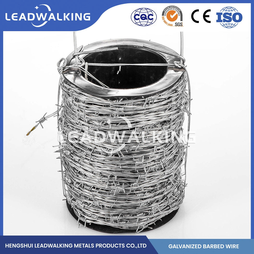 Leadwalking Steel Barbed Wire Fence Wire Manufacturers Sample Available Twist Barbed Wire China Beautiful Galvanized Barbed Wire Coil