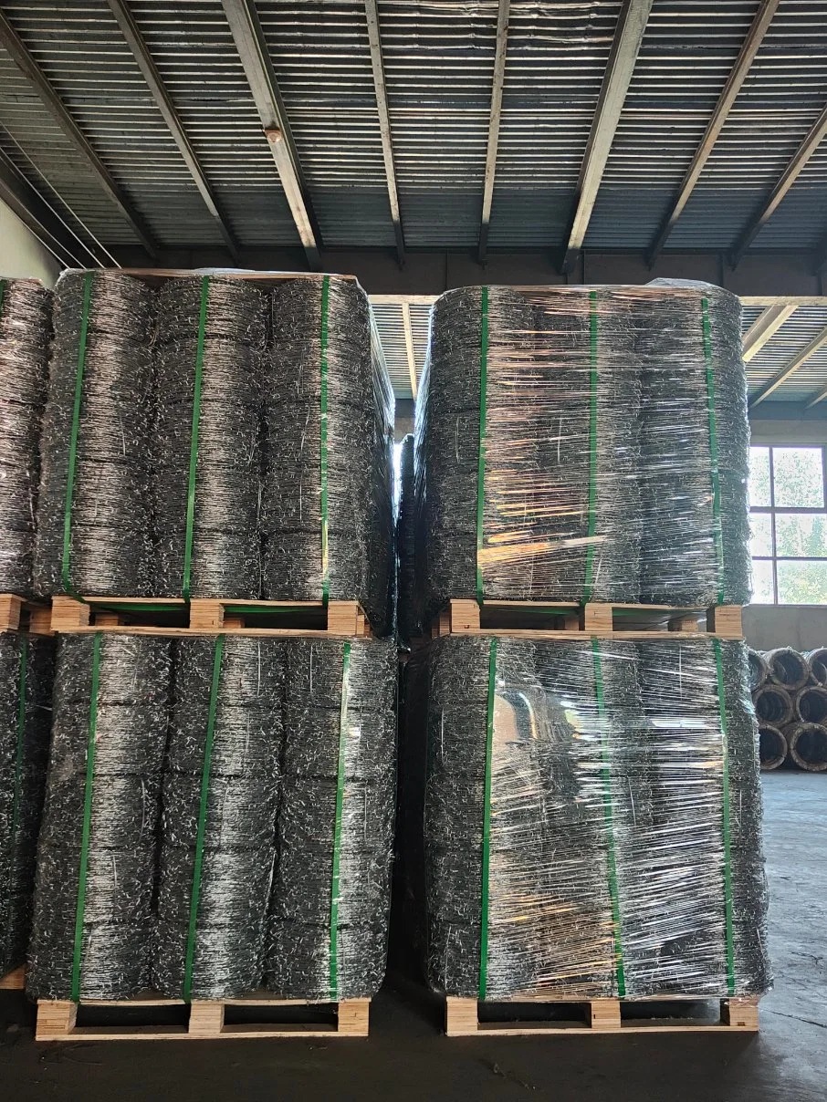 Hot High Tensile Strength Hot Dipped Galvanized Barbed Wire Coil