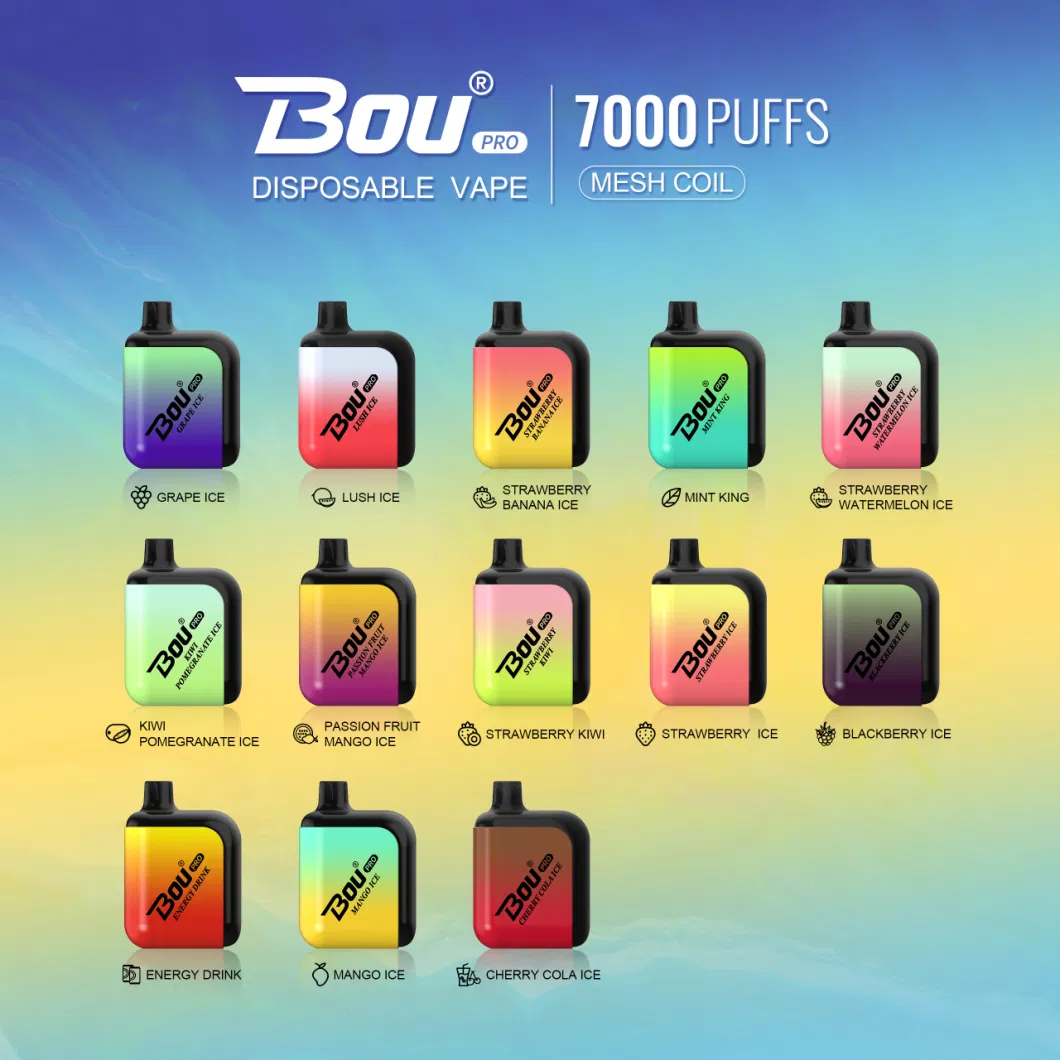 Wholesale Bou Vape E-Cigarette Rechargeable 7000 Puffs Disposable Vape