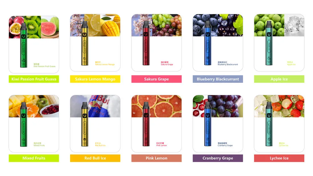 New E-Cigarette 1000 Puffs Different Flavors Disposable Vapes Pen Electronic Cigarette Vape Pod