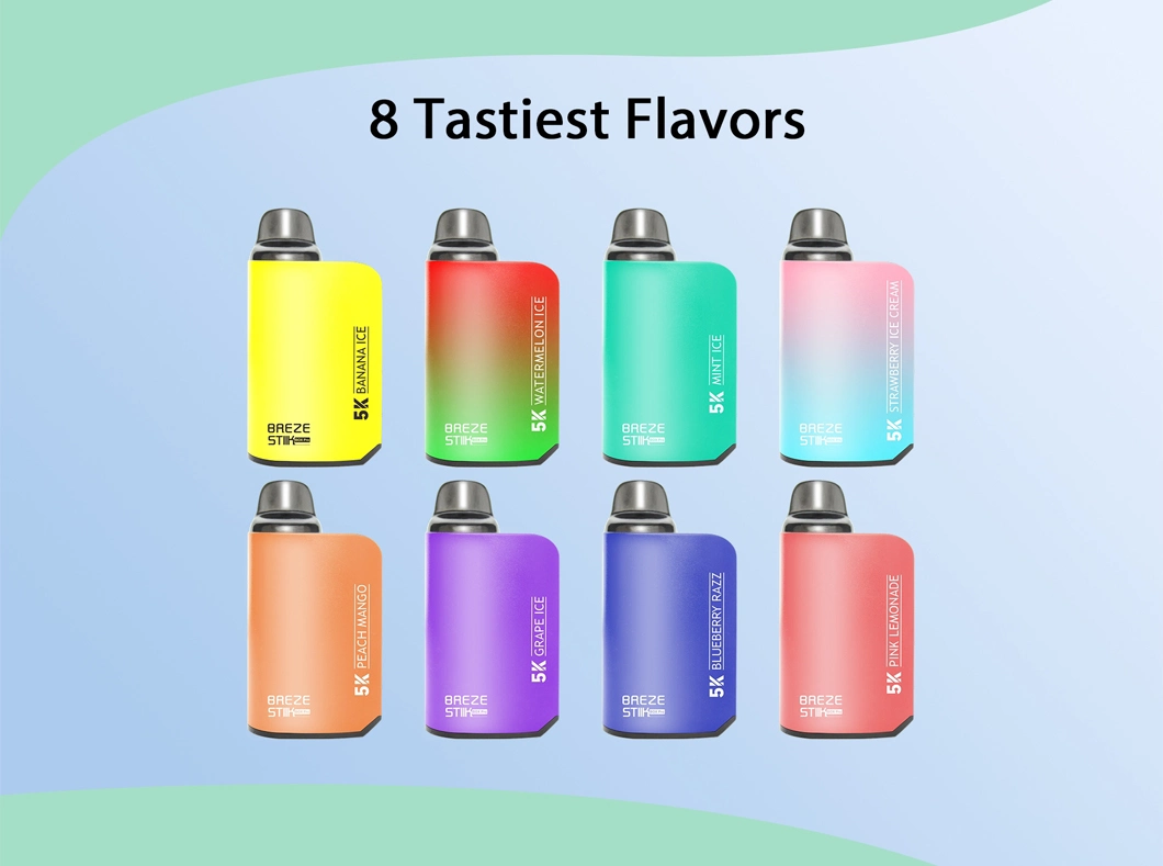 Best Price of 5% Nicotine 5000 Puffs Wholesale Disposable Vape Vaporizer Manufacturer