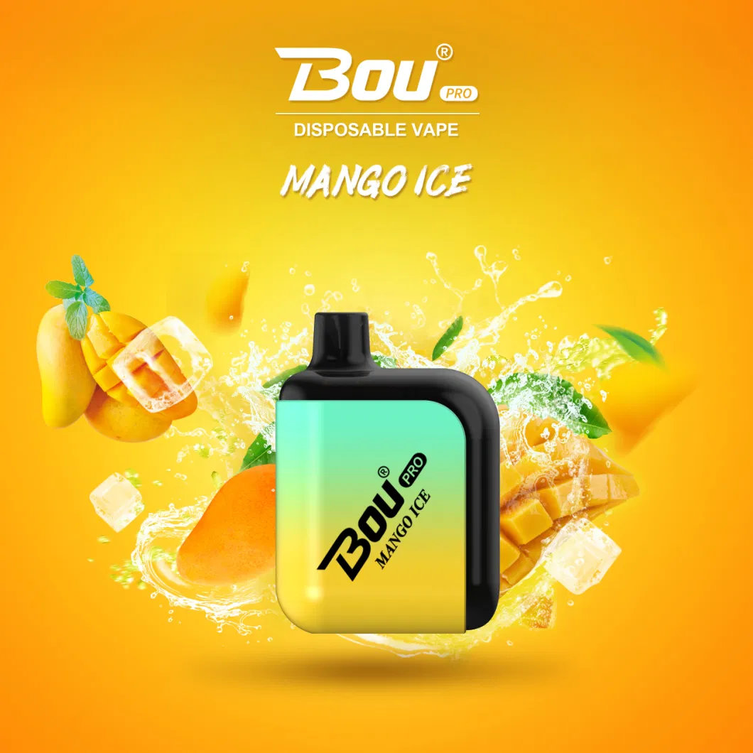 Wholesale Bou Vape E-Cigarette Rechargeable 7000 Puffs Disposable Vape