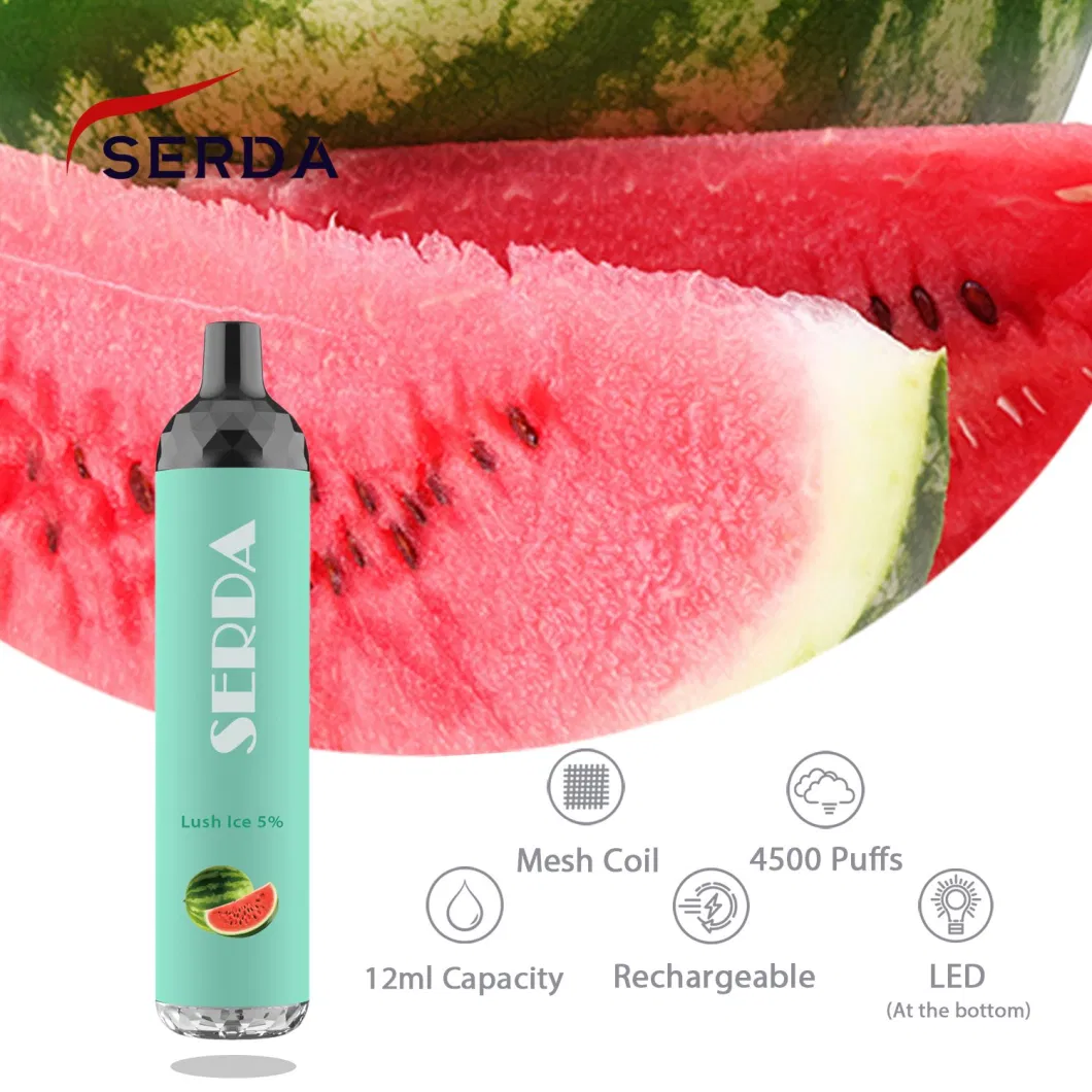 Wholesale New Products Mesh Coil 4500 Puffs Rechargeable Vape Pen Disposable Pod Vape with Charging Port