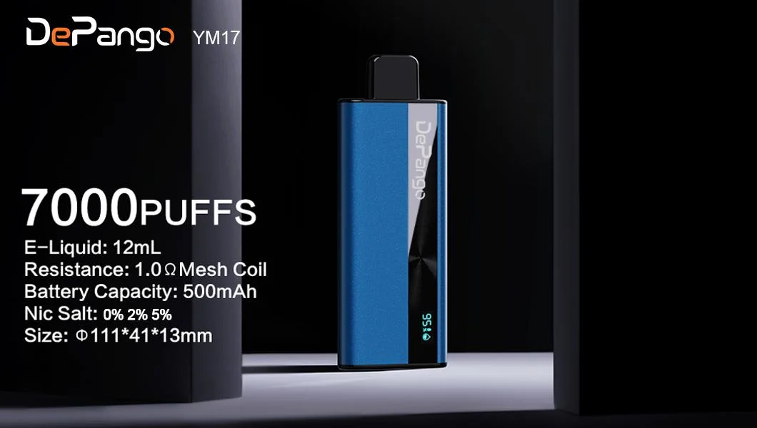 Multi Flavors 7000 Puffs Disposable E Cigarette Mesh Coil Blue Razz Flavors Type-C 20ml Vape Pen