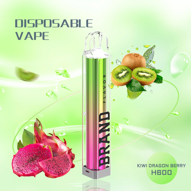 China Wholesale OEM Tpd Ecid E-Cigarette 2ml 600 800 Puffs Fremelx Vaper Empty Pen Style Crystal Disposable Vape with LED Flashlight in Europe Spain UK