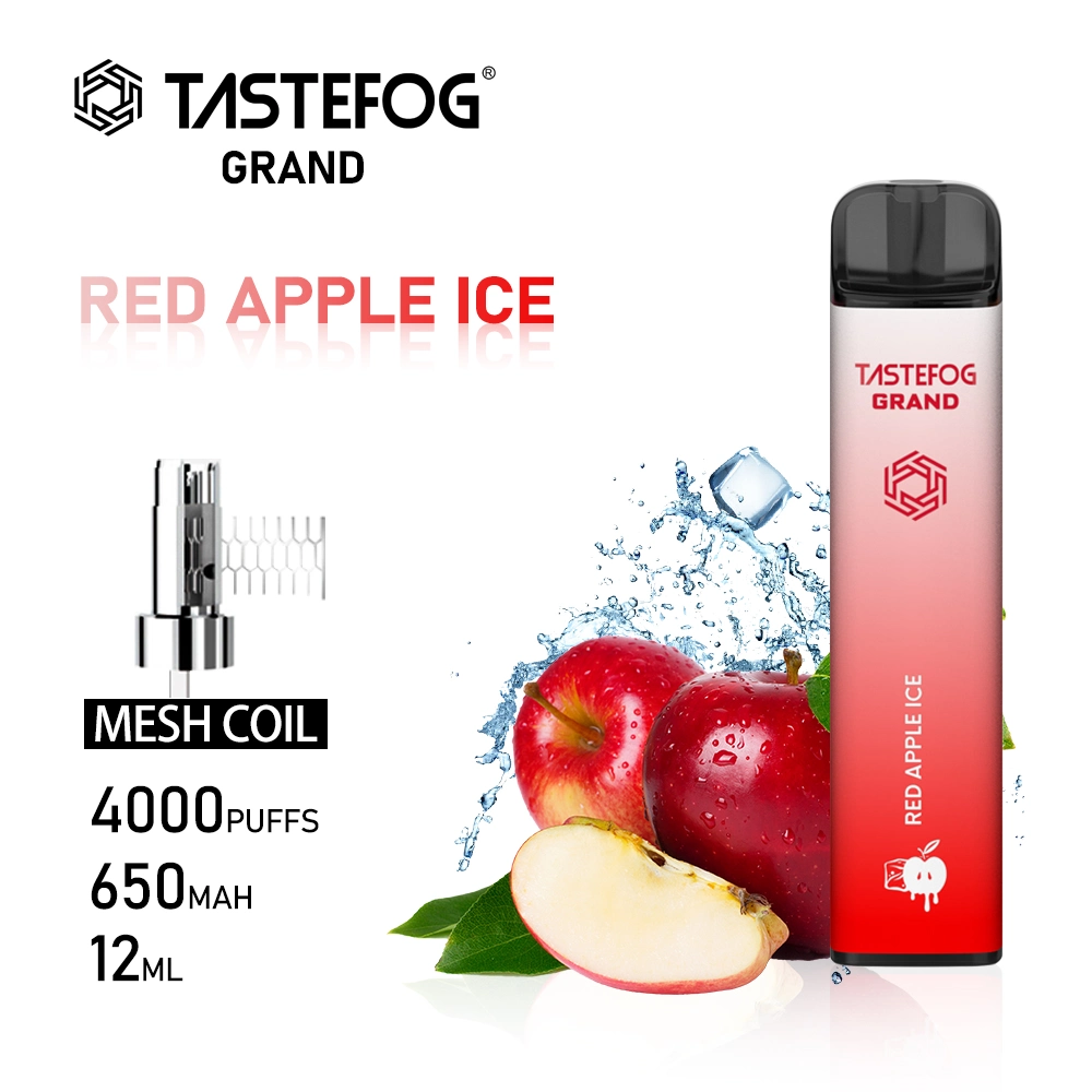 Wholesale 4000 Puffs Tastefog Grand Cube Big Cloud Mesh Coil Disposable Ecig Pod Vape