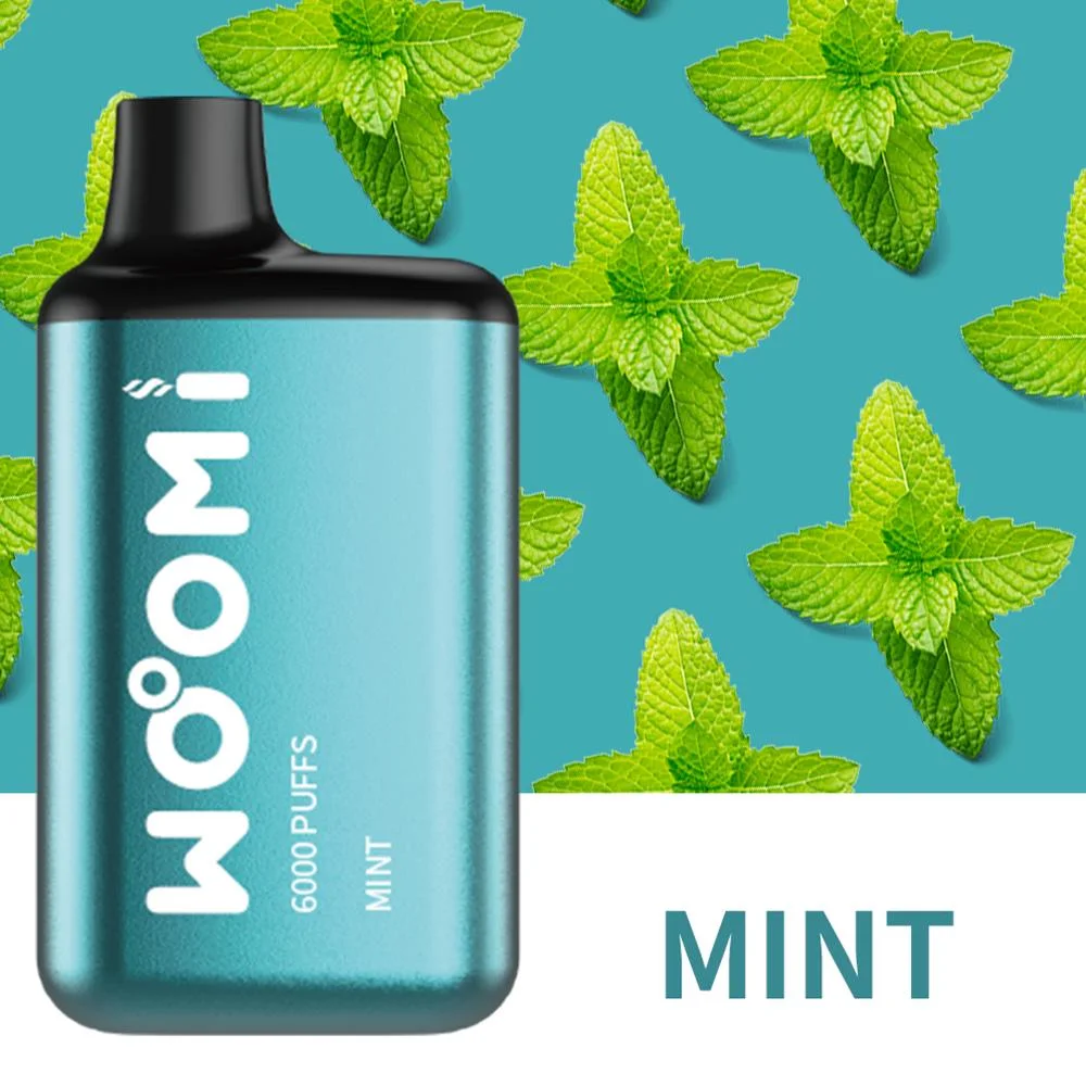 OEM/ODM 6000 Puffs 14ml Eliquid Mint Menthol Mesh Coil Woomi Disposable Vape