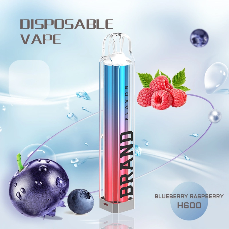 China Wholesale OEM Tpd Ecid E-Cigarette 2ml 600 800 Puffs Fremelx Vaper Empty Pen Style Crystal Disposable Vape with LED Flashlight in Europe Spain UK