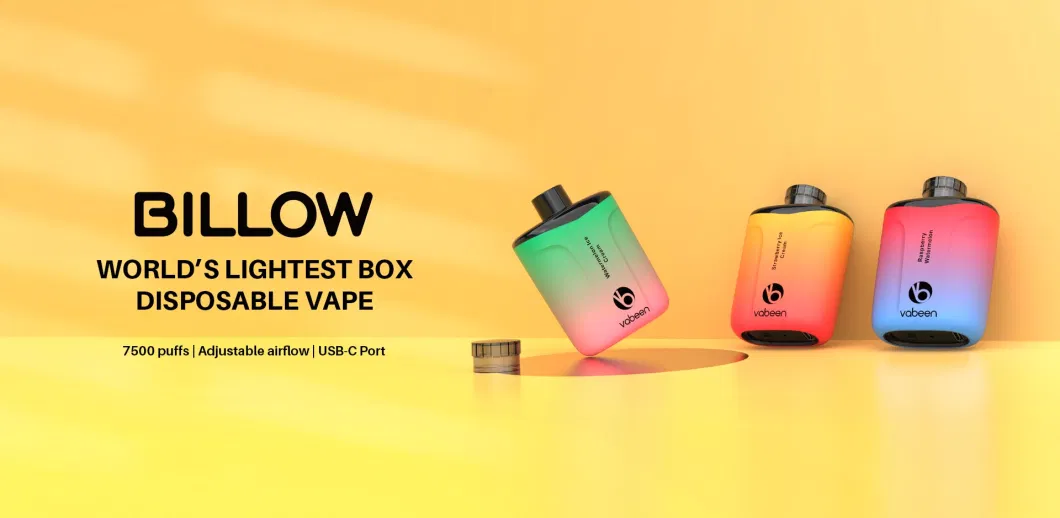 2022 Hot Selling Box Style 7500 Puffs Disposable Vape Pen E Cigarette Custom Vaporizer Box with 15 Flavors