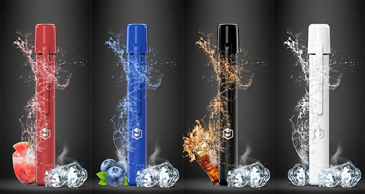 Shenzhen 600 Puffs 2ml Mesh Coil Hot Selling Cool Mint Tabacco Fruit Flavors Disposable Vape
