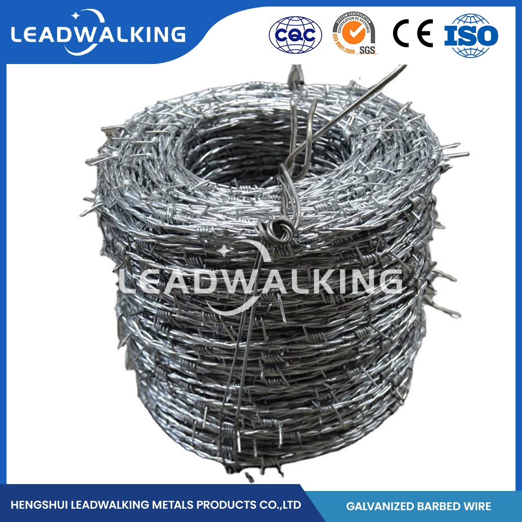 Leadwalking Steel Barbed Wire Fence Wire Manufacturers Sample Available Twist Barbed Wire China Beautiful Galvanized Barbed Wire Coil