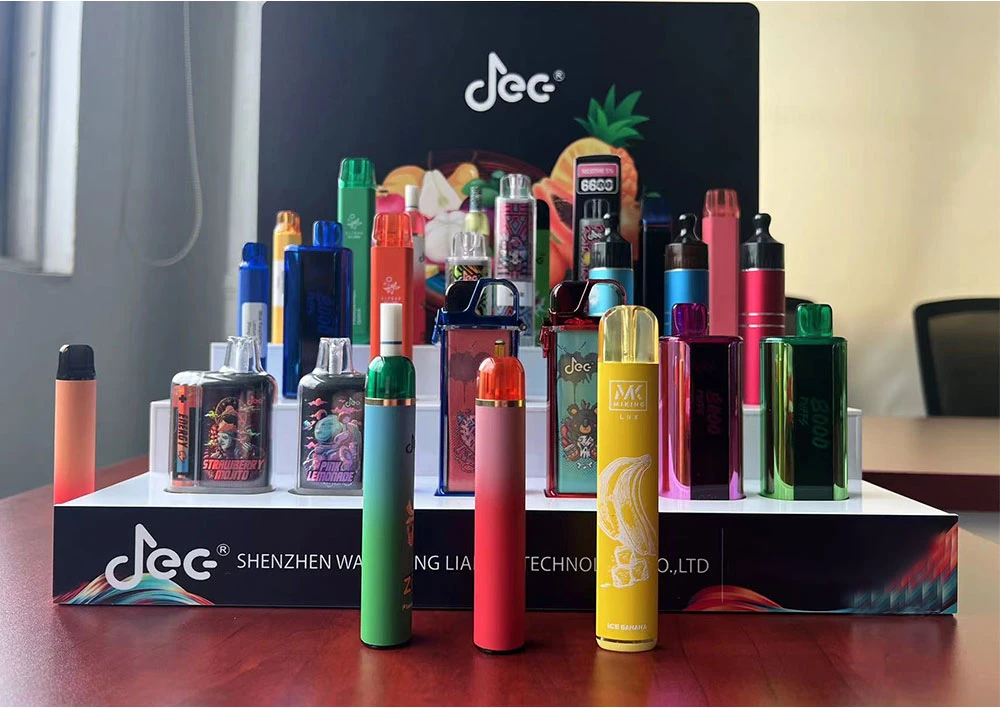 Top Quality E Liquid Vape Box 3% 5% Nicotine Mesh Coil Disposable Vape Original Vaporizer Factory Produce 5000 Puffs