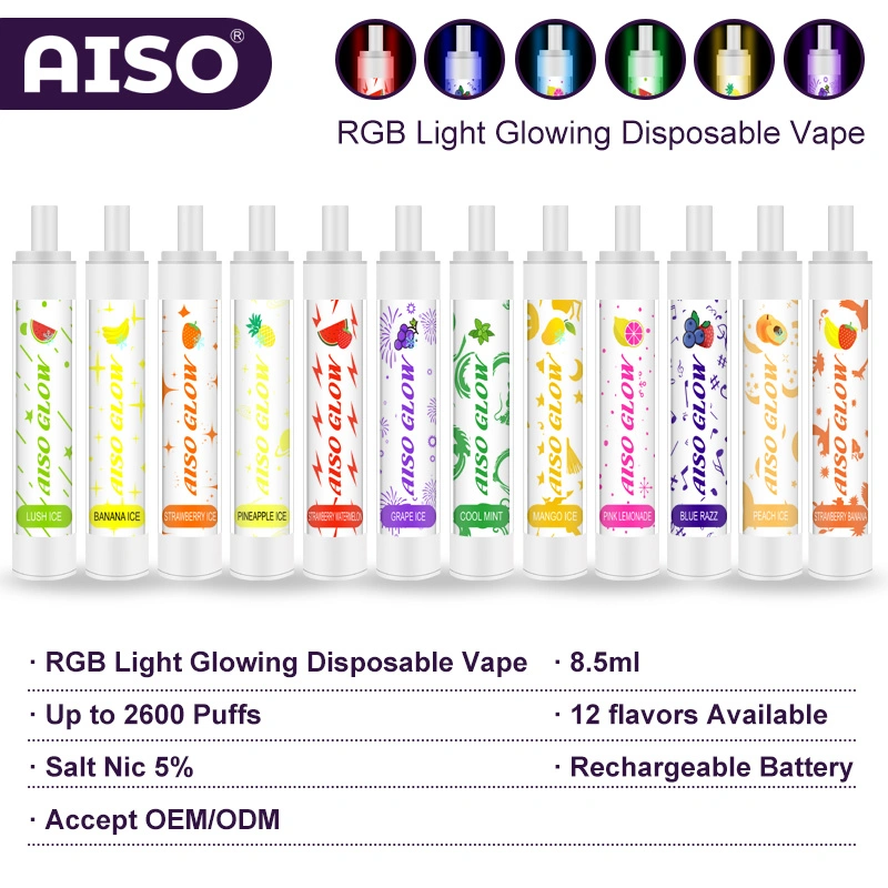 Wholesale Mint Flavour 2600 Puffs Ecig Disposable Vape with RGB Light Glowing