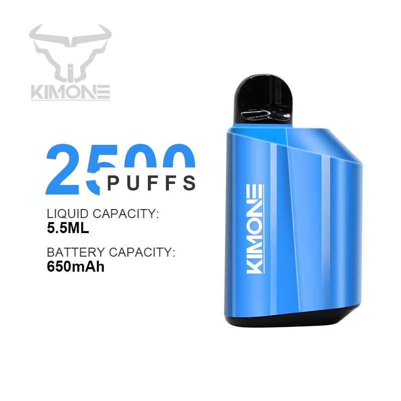 Mint Flavor 2500 Puffs Mesh Coil 5% 6% Synthetic Nicotine Disposable Vapes
