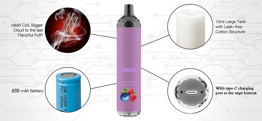 2021 New Product Rechargeable 4000 Puffs Mesh Coil Disposable Vaporizer for Custom Brand