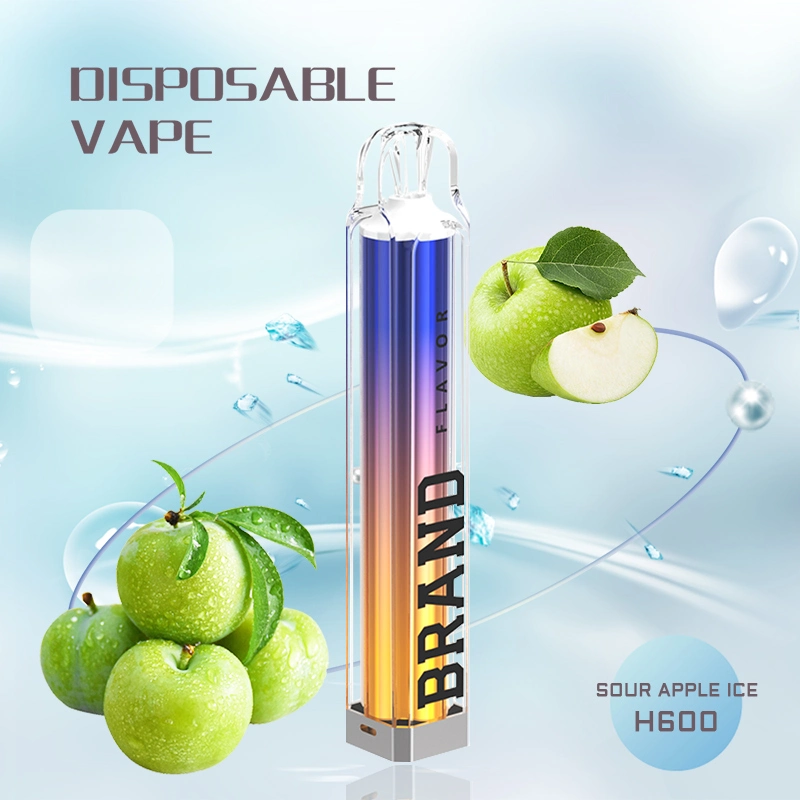 China Wholesale OEM Tpd Ecid E-Cigarette 2ml 600 800 Puffs Fremelx Vaper Empty Pen Style Crystal Disposable Vape with LED Flashlight in Europe Spain UK