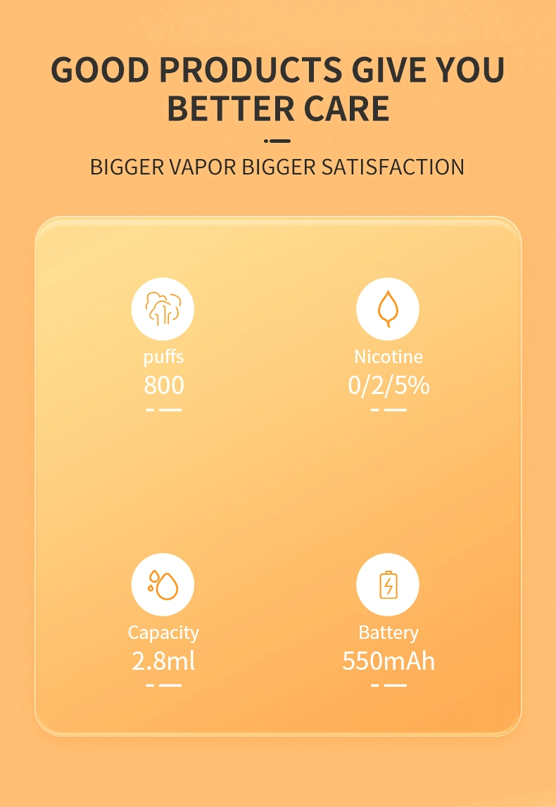 800 Puffs Disposable Vapes Bulk Deals Factory Price From Shenzhen