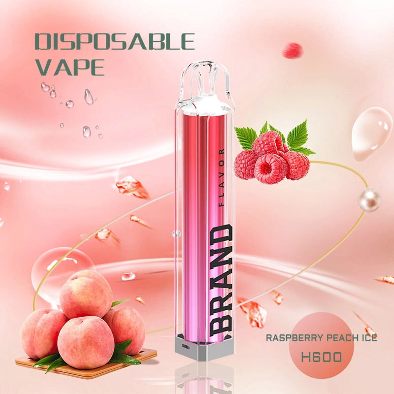 China Wholesale OEM Tpd Ecid E-Cigarette 2ml 600 800 Puffs Fremelx Vaper Empty Pen Style Crystal Disposable Vape with LED Flashlight in Europe Spain UK