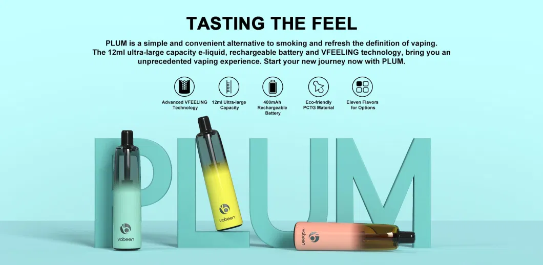 2021 Vaper Cigarettes Electronics Pop Fruit Flavors Liquid Oil Disposable Electronic Cigarette Ultra-Large Capacity Vape Pen