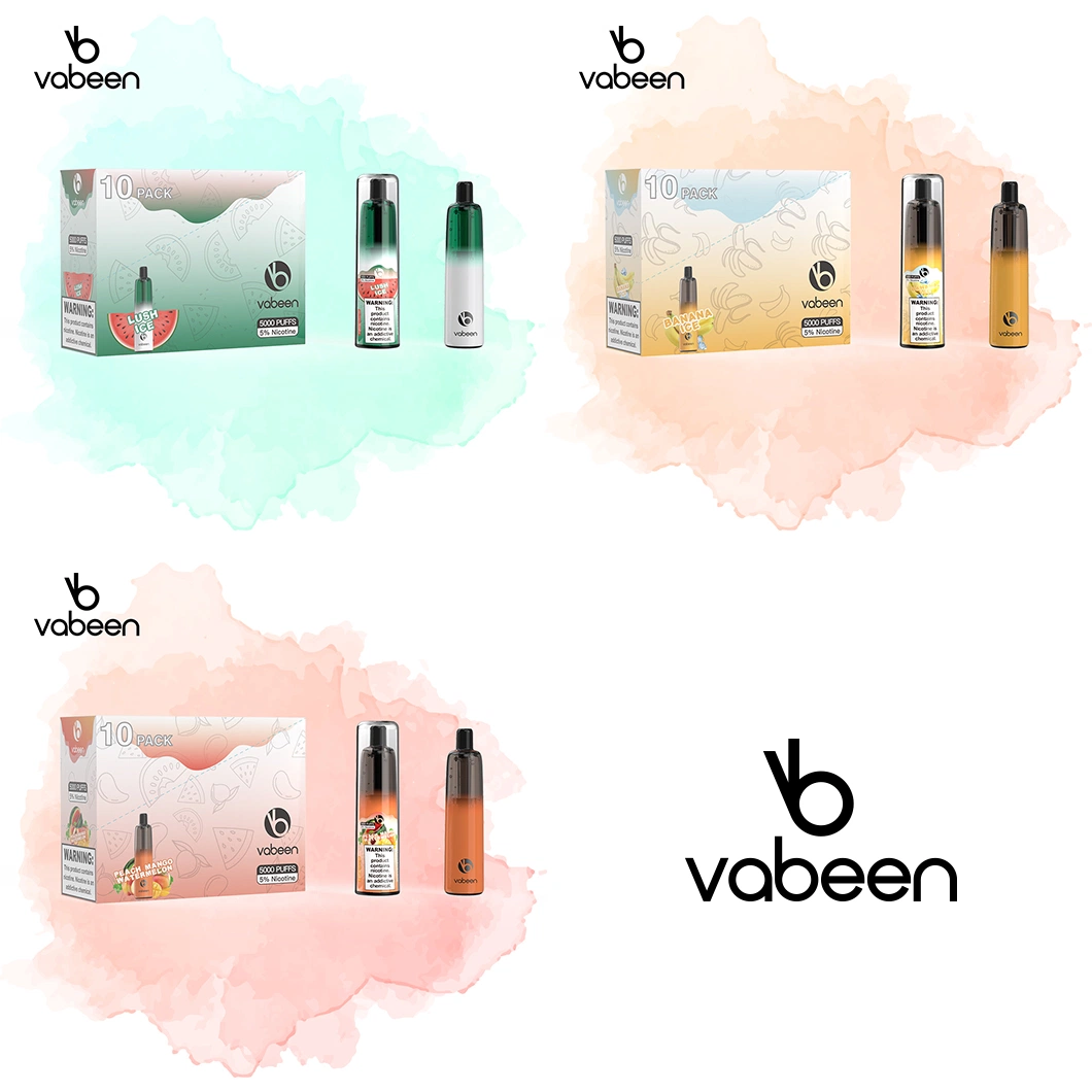 Vabeen Vape 5000 Puffs Disposable Device - 10 Pack
