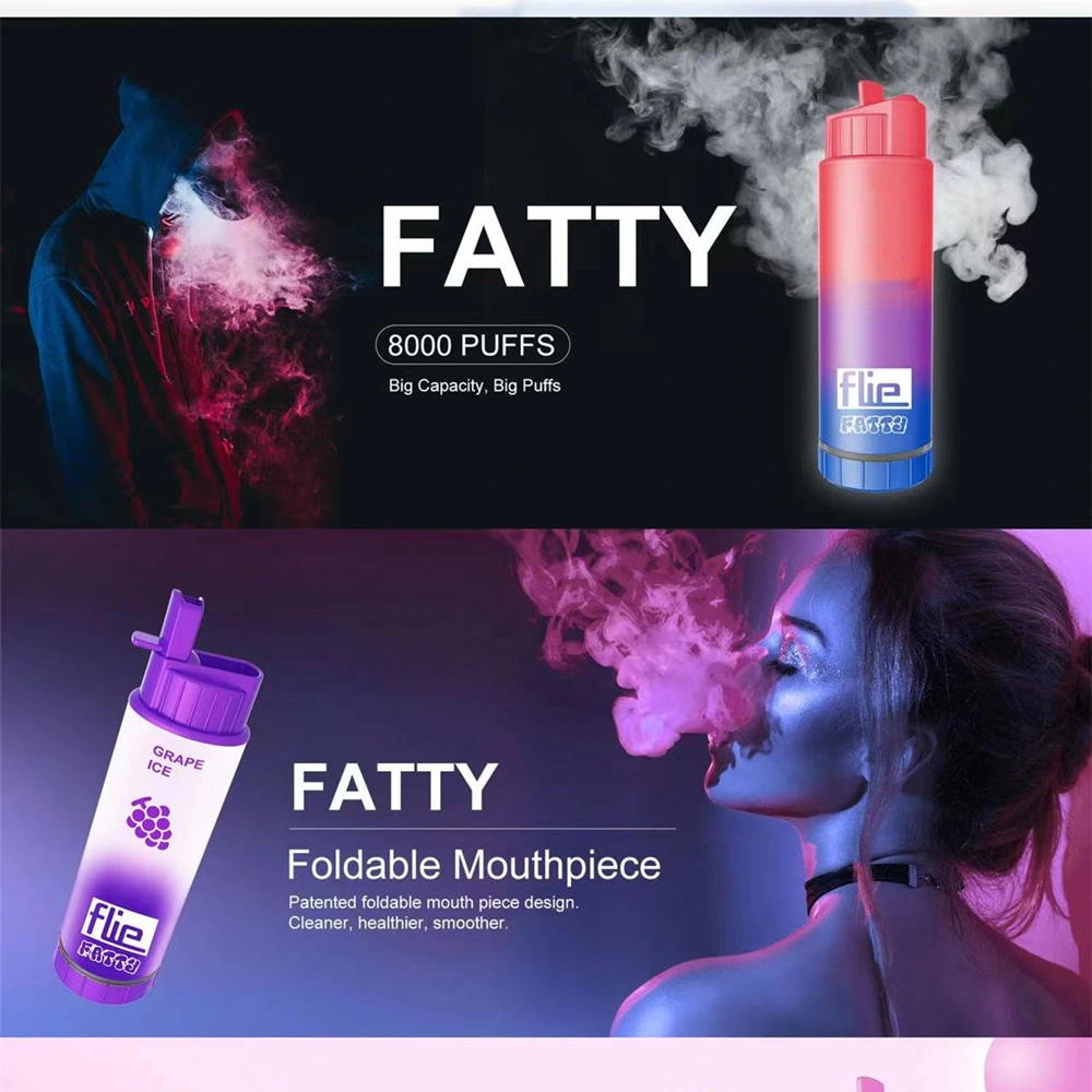 China Factory Ecigs Flie Fatty Disposable Ecigarettes 8000 Puffs Vape Pen 18ml Prefilled Mesh Coil Pods 850mAh Rechargeable Battery Vape Vs Randm 9K