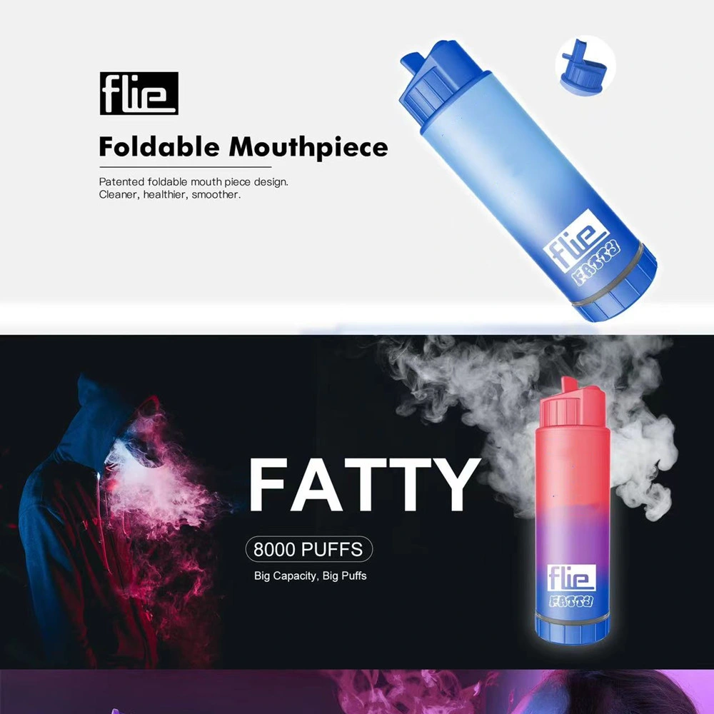 China Factory Ecigs Flie Fatty Disposable Ecigarettes 8000 Puffs Vape Pen 18ml Prefilled Mesh Coil Pods 850mAh Rechargeable Battery Vape Vs Randm 9K