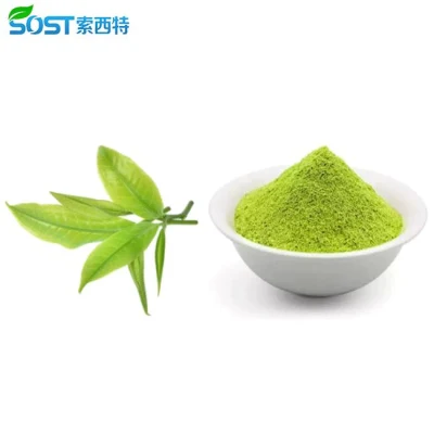 Горячие продажи Китай SOST Оптовая диетическая добавки чистый EU органический Чай Matcha