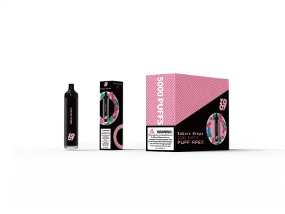 Shenzhen OEM ODM Factory Цена 5000 puffs фруктовый вкус Оптовая торговля Одноразовый сетчатый карандаш для формы одноразовый карандаш для карандаша одноразовый карандаш для карандаша Атомизатор