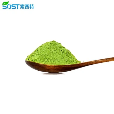 SOST поставка оптом зеленого Matcha порошок