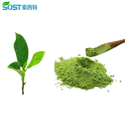 XI’an SOST Supply Halal Approved Organic Matcha Powder Green Tea