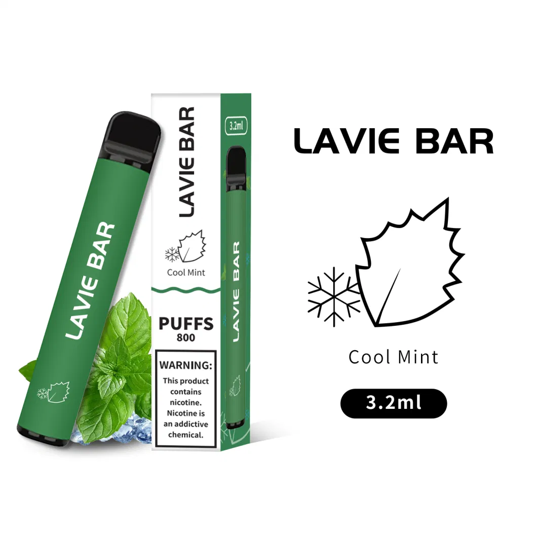 800 Puffs Disposable Vape Pen with Fruit Flavors