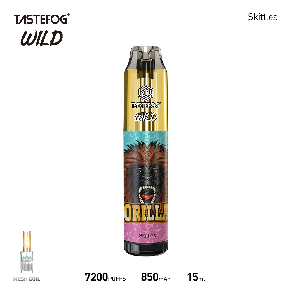 Original Tastefog Wholesale Disposable Vape OEM Randm Disposable Vape 7000 8000 Puff