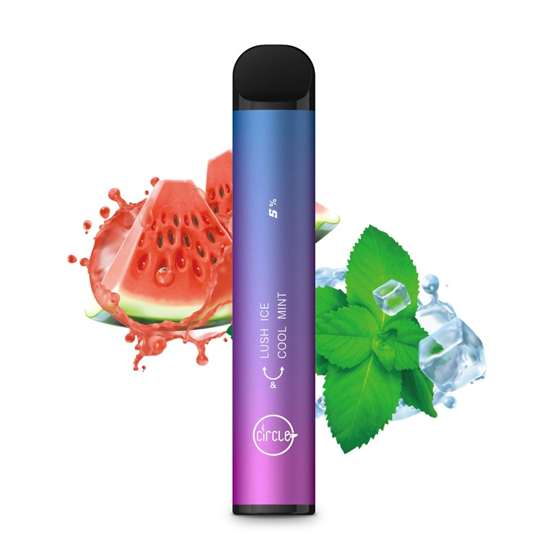 Wholesale Salt Strawberry Cool Mint Dual Disposable Vape Without Nicotine