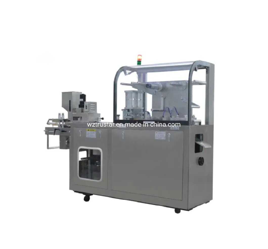 Automatic High Speed Tablet Capsule Pill Flat Plate Blister Packaging Making Machine Manufacturer Price