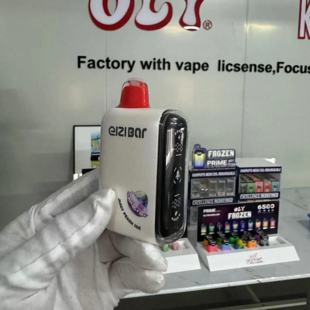 Vape Factory Price Vape Distributors 2024 New Vape 15000 Puffs Disposable Vape Disposable Electronic Cigarette Shipping USA Netherlands Hot Sell in Vape Shop